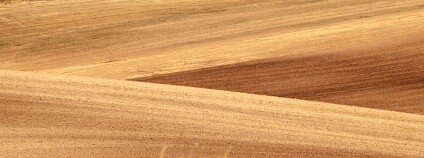 Foto: Martin Mach Ondřej / Ekolist.cz