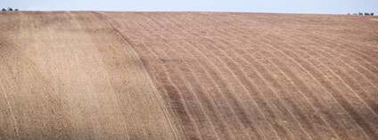 Foto: Martin Mach Ondřej / Ekolist.cz