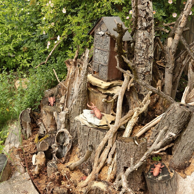 Hmyzí hotel může být dobrý začátek. Neměl by být konec.