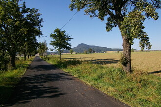 Hrušňové aleje byly v teplejších polohách běžnou součástí krajinného rázu. Dnes jsou již mezerovité, zanedbané a často poškozené nevhodným řezem.