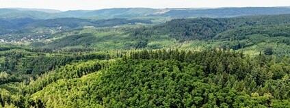 Lesy Mendelovy univerzity ve správě ŠLP Křtiny Foto: Mendelova univerzita v Brně