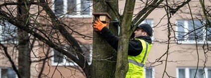 Instalace pačích budek v Ostravě Foto: Lukáš Kaboň Magistrát města Ostravy