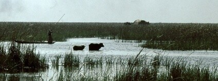 foto:  Paul Dober / Wikimedia Commons