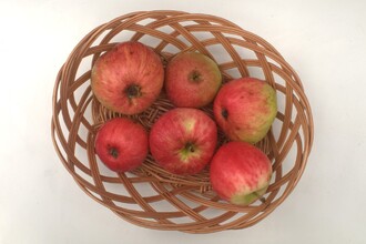 České růžové je odrůda prioritního sortimentu. Možná bylo nalezeno na Kutnohorsku ve 2. polovině 18. století. Dozrává začátkem srpna.