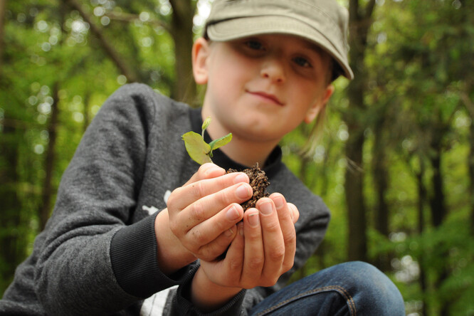Ilustrační foto výukového programu.