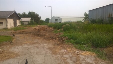 Společnost JANKRI dostala pokuty za chov kachen bez povolení, neodvážení uhynulých zvířat a podestýlky i neumožnění kontroly. / Na obrázku neodklizená podestýlka na cestě mezi chovnými halami společnosti JANKRI, s.r.o.