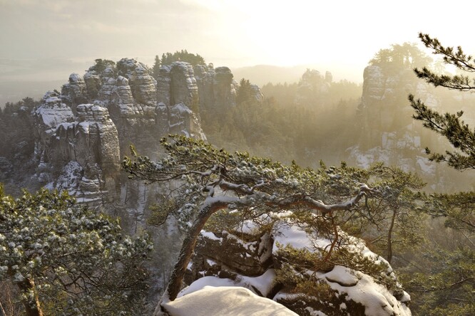 Zimní ráno z Janovy vyhlídky.