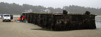 Foto: Oregon State University/ Flickr