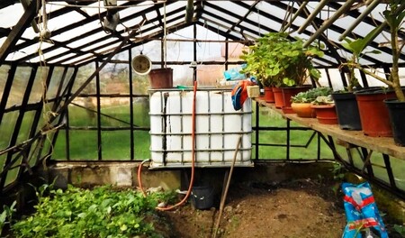Nádrž ve skleníku nezamrzá ani v zimě. Teplo uložené ve skladované vodě pomáhá rostlinkám přečkat teplotní rozdíly mezi dnem a nocí.