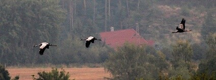 Foto: Petr Lumpe / Zoo Ostrava
