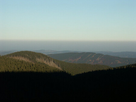 Ministerstvo životního prostředí na začátku listopadu opět zrušilo rozhodnutí Správy CHKO Jeseníky, která v květnu povolila likvidaci stromů napadených kůrovcem na 50 hektarech v okrajových částech národní přírodní rezervace Rejvíz. / Ilustrační foto