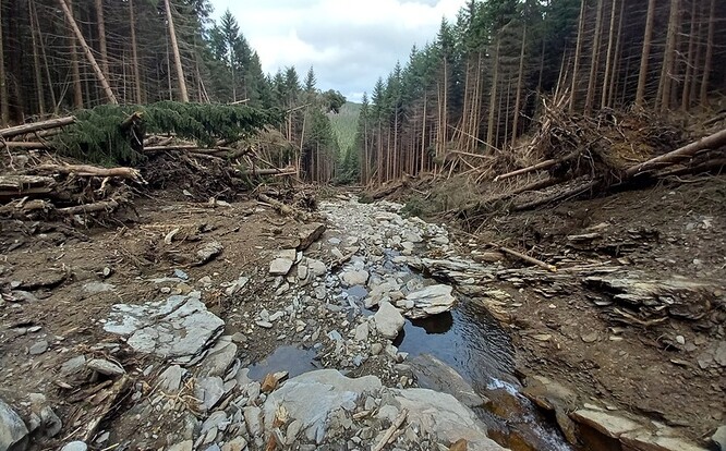 Murová dráha v Jeseníkách.