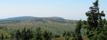 Jeseníky Foto: Zdeňka Vítková Ekolist.cz