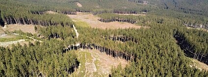 Foto: Společnost přátek Jeseníků