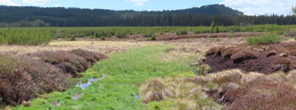 Foto: Renata Placková / Správa NP Šumava