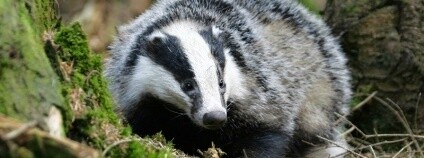 Foto: Jaroslav Vogeltanz / Naše příroda