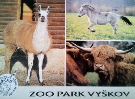 Vyškovský zoopark (na fotografii) je domovem přibližně 750 zvířat. Na malé ploše byl otevřen ještě jako Koutek živé přírody v srpnu 1965. Vyškovský zoopark se specializuje na původní druhy domácích a hospodářských zvířat, návštěvníci v něm však najdou i ta, která patří k ohroženým druhům.