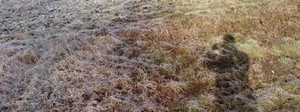 Foto:  Karel Zvářal