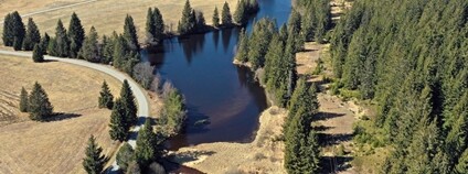 Jiřičká nádrž v Novohradských horách Foto: ÚEB AV ČR