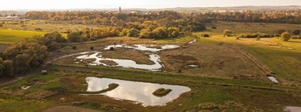 Ptačí park Josefovské louky v říjnu 2022 Foto: ČSO
