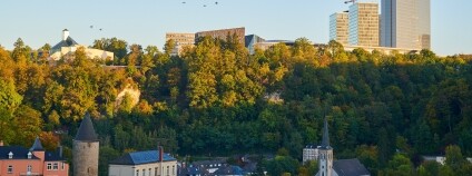 Foto: Johny Goerend / Unsplash