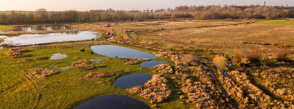 Ptačí park Josefovské louky České společnosti ornitologické. Foto: Česká společnost ornitologická
