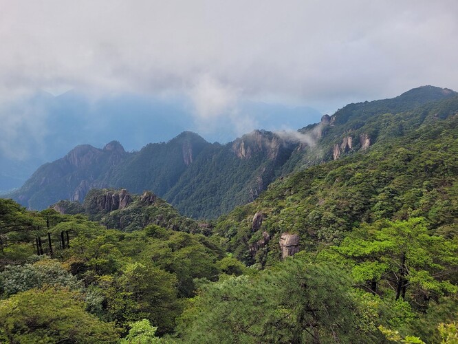 Les v jihovýchodní Číně.