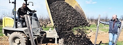 Vědci LDF MENDELU dokáží využít čistírenský kal, přidávají ho do substrátu pro pěstování stromů Foto: Masarykova univerzita v Brně