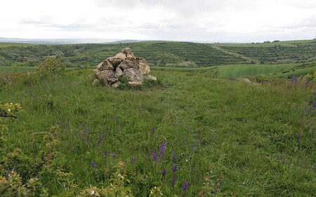 Kamenný vrch (na obrázku) je jednou z mála typických stepních oblastí v republice a rezervací byl vyhlášen v roce 1978 kvůli velkému množství konikleců, které tam rostou. Koniklec velkokvětý je bezmála 30 centimetrů vysoká rostlina, jejíž květy jsou hustě pokryty bělavými chloupky, takže vypadají jako sametové. Rezervace je volně přístupná.