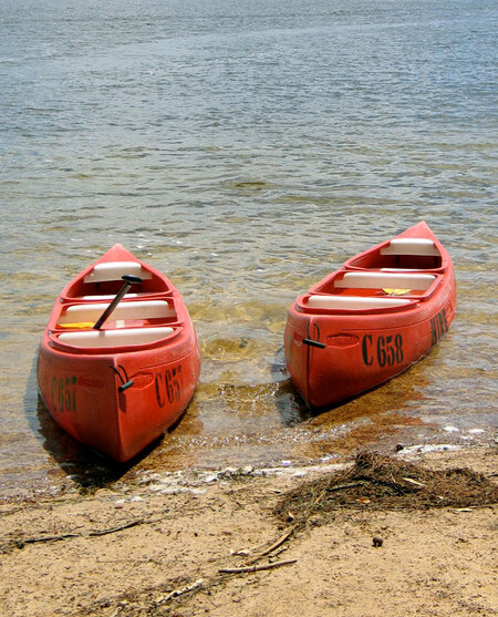 Novelu vodního zákona, která hlavně zavádí opatření proti suchu, nyní dostane k projednání Senát. Pokud s ní vysloví souhlas, dostane ji k podpisu prezident.
