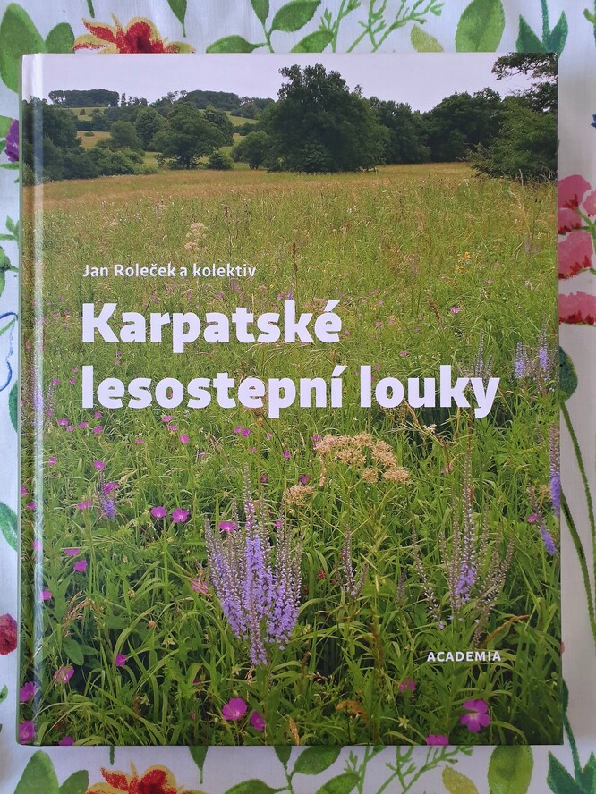 Na začátku roku 2026 vyšla kniha, kde se o loukách bělokarpatského typu (karpatské lesostepní louky či Brachypodio-Molinietum jsou synonyma) můžete dozvědět víc. Docentu Rolečkovi a jeho kolektivu patří poděkování za vědecký přínos k tomuhle fenoménu. Jejich články nám taky byly inspirací při hledání druhově bohatých lokalit.