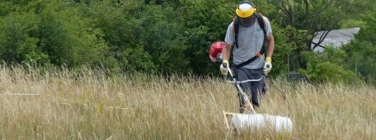 Foto: Jan Moravec / ČSOP