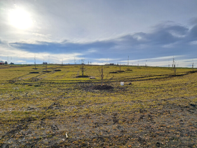 Celkový pohled na novou Kaštanku.