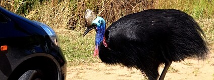 Foto:  Francisco Martins / Flickr