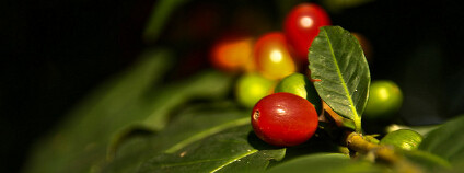 Foto: Eduardo Deboni / Flickr