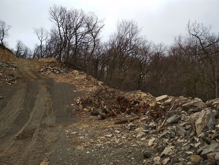 Zásah v katastru obce Liběšice u Želenic provedla firma loni v listopadu podle inspektorů bez souhlasu příslušných orgánů státní správy a poškodila tím významný krajinný prvek. Porušila tak lesní zákon.