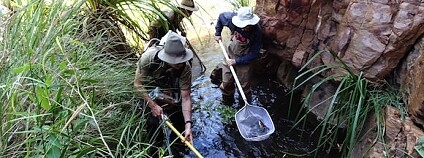 Foto: The University of Melbourne