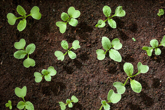 Naše závislost na půdě je obrovská. Bez ní bychom neměli co do úst.