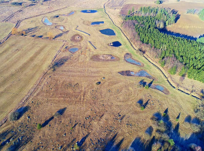 Klokočínské louky jsou lučním komplexem, který se nachází v nivě říčky Blanice asi 3 kilometry severozápadně od Protivína na Písecku. Jsou unikátním domovem pro širokou paletu vzácných zvířat, například čolka obecného, kuňky obecné nebo vzácných ptáků bahňáků nebo bekasiny otavní.