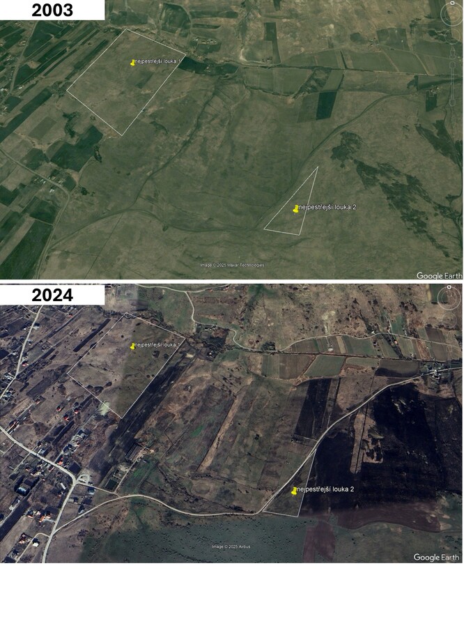 
Rozšiřování Kluže a rozorávání okolo dvou dnes nejzachovalejších luk. Na jiném leteckém snímku z července 2025 jsou obě louky strojově posečeny a na louce 1 leží balíky sena. Zajímavý je snímek z listopadu 2022, kde je na louce 2 přítomný hlouček asi 150 ovcí. Dá se předpokládat pastva otavy. Ze série leteckých snímků z různých let pak možno vysledovat uplatňování úhoru. Perikarpatské louky se dokážou obnovovat i na bývalých polích, ale ne kompletně. Výskyt těch nejpestřejších trávníků koresponduje s místy historické absence orby.