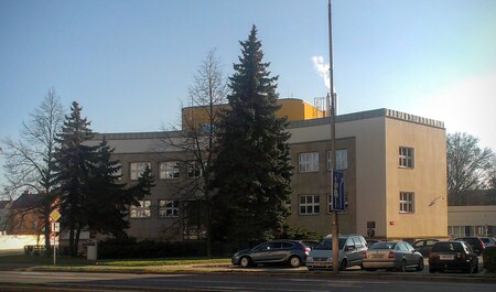 Město Kroměříž nechalo pokácet pět smrků pichlavých