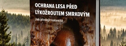 Kniha Ochrana lesa Foto: Nakladatelství Lesnická práce