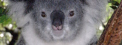 Foto: QuartlJohn Harrison / Wikimedia Commons 