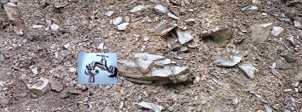 Foto: Archiv Tomáše Kvítka