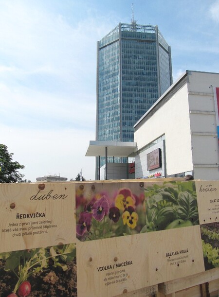 V prostoru zahrady se budou v průběhu celého léta konat snídaňové pikniky a workshopy zaměřené na pěstování a kompostování ve městě