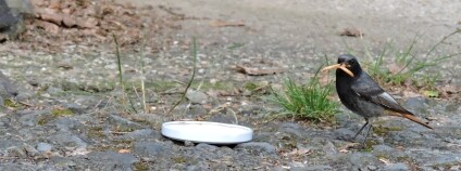 Foto: Karel Zvářal