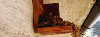 Foto: Karel Zvářal / archiv autora