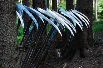 Někde je dobré nechat přírodu, ať si poradí sama, někde je potřeba vzít do ruky kosu.