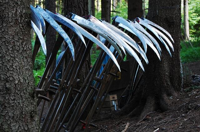 Ilustrační snímek.