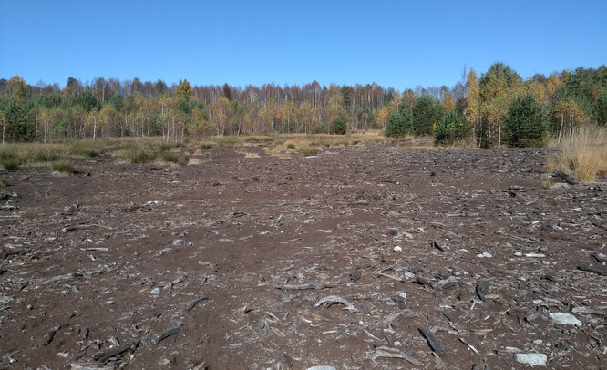 Rašeliniště po těžbě. Vlčí jámy.